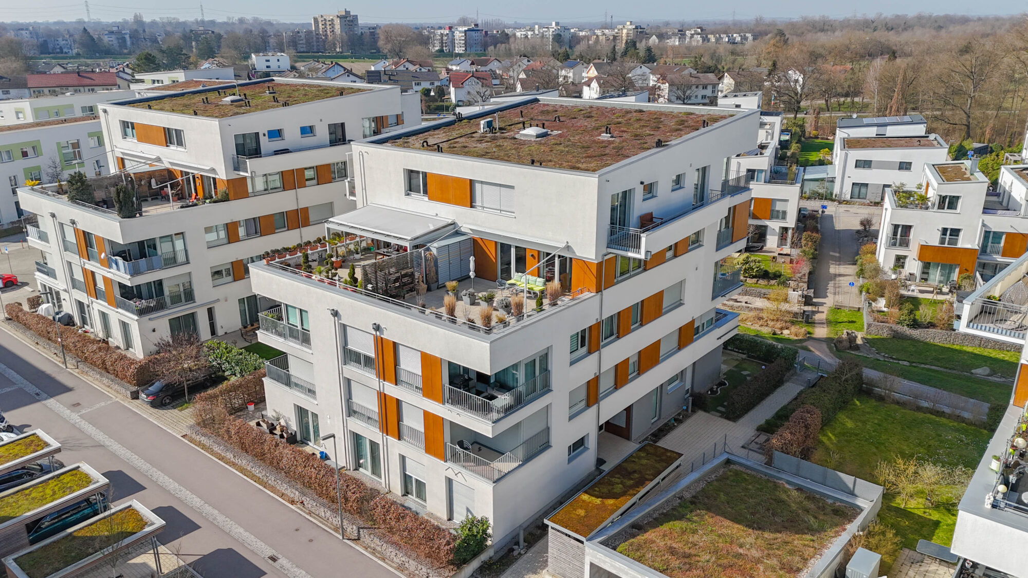 20260305 dji fly 20260305 135400 0004 1772744981393 photo